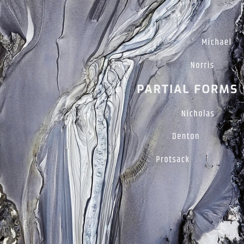 Partial Forms (Whatnot Records)